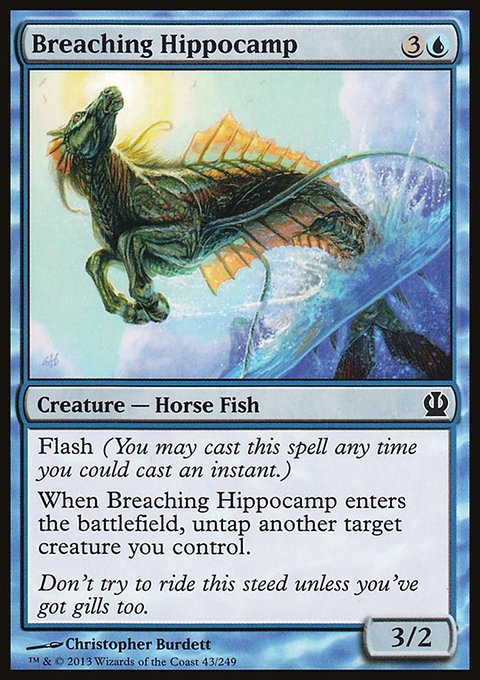 Breaching Hippocamp